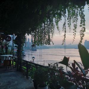 变种老变态 - 七猫精品
