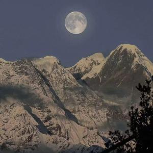 变种老变态 - 七猫精品
