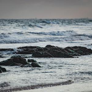 变种老变态 - 七猫精品
